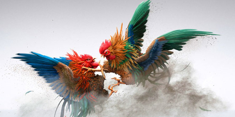 Các hình thức đang được ưa chuộng tại Bj88